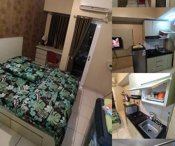 My Shie Room